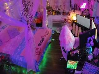 voyeurcam veccasalt 01